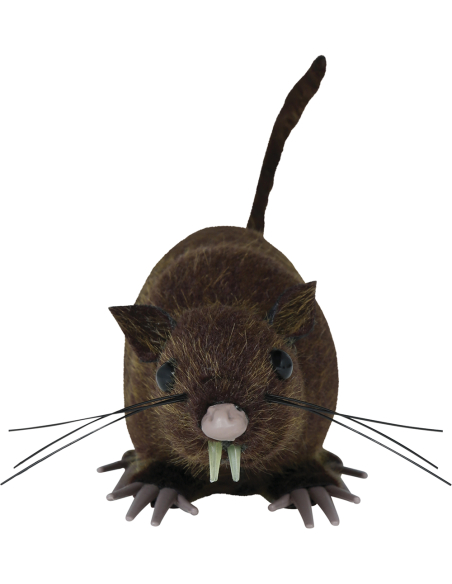 Rat Halloween réaliste marron 15 cm – décoration effrayante