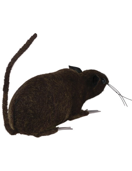 Rat Halloween réaliste marron 15 cm – décoration effrayante