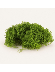 Sachet de mousse verte extensible 50 g – Décoration Halloween, automne & cimetière