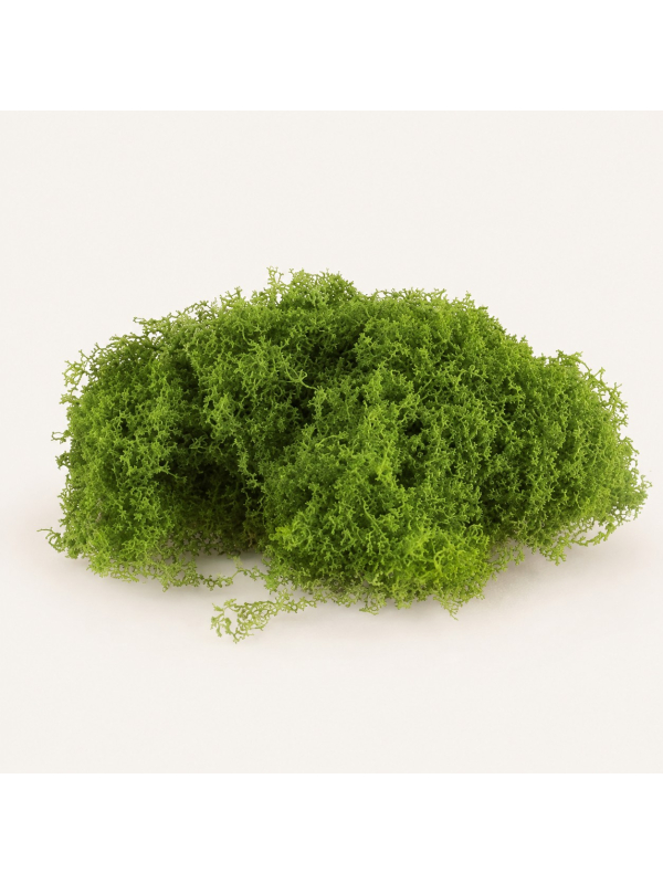 Sachet de mousse verte extensible 50 g – Décoration Halloween, automne & cimetière