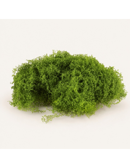 Sachet de mousse verte extensible 50 g – Décoration Halloween, automne & cimetière