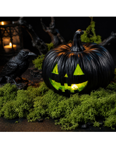 Sachet de mousse verte extensible 50 g – Décoration Halloween, automne & cimetière 2