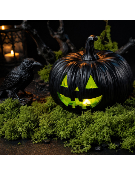 Sachet de mousse verte extensible 50 g – Décoration Halloween, automne & cimetière