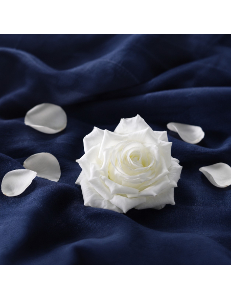 Lot de 4 roses artificielles ivoire 9,5 cm