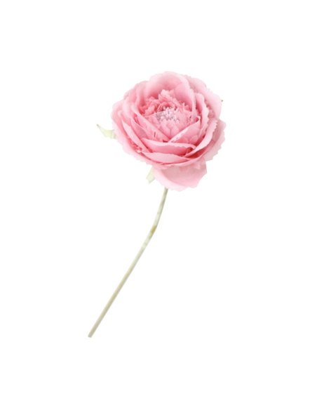 Camélia rose décoratif aux pétales superposés et tige verte