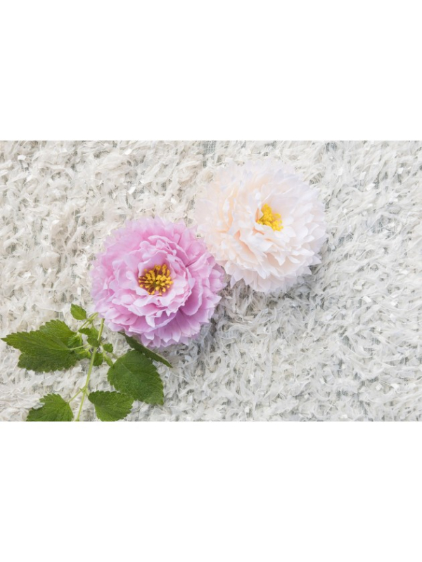 Têtes de pivoine rose Nymphéa pour décoration florale