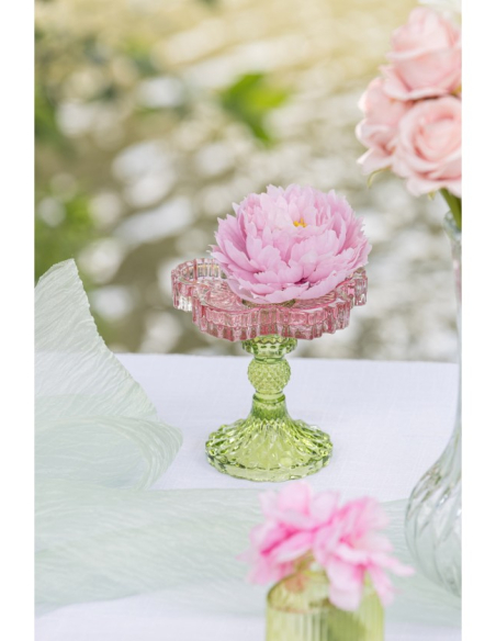 Détail des pétales roses superposés des pivoines Nymphéa