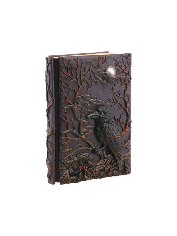 Détail du carnet de notes corbeau gothique