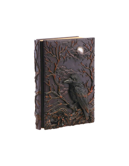 Détail du carnet de notes corbeau gothique