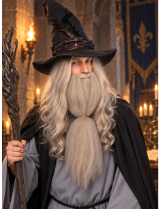 Perruque grise de magicien avec longue barbe