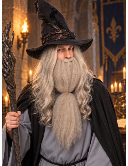 Perruque grise de magicien avec longue barbe