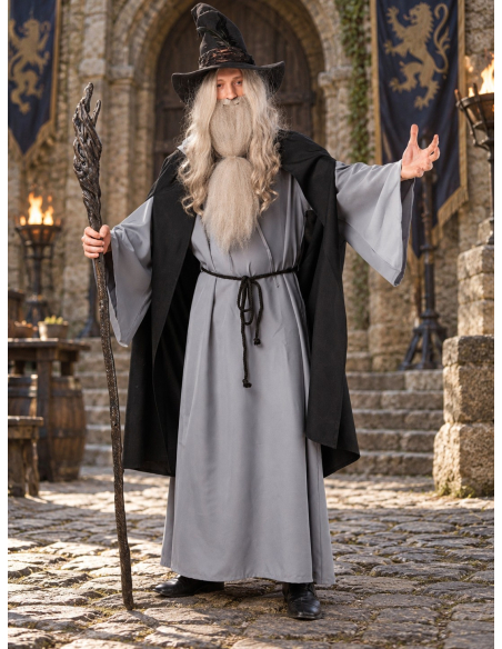 Perruque grise de magicien avec longue barbe