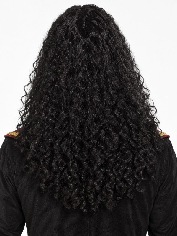 Perruque mousquetaire noire homme – Longue et bouclée dos