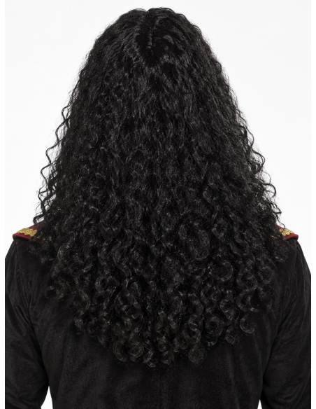 Perruque mousquetaire noire homme – Longue et bouclée dos