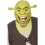 Masque Shrek adulte - Licence