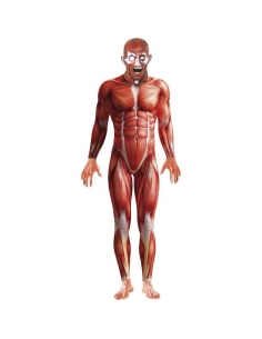 Déguisement Seconde Peu Anatomie Homme (combinaison)