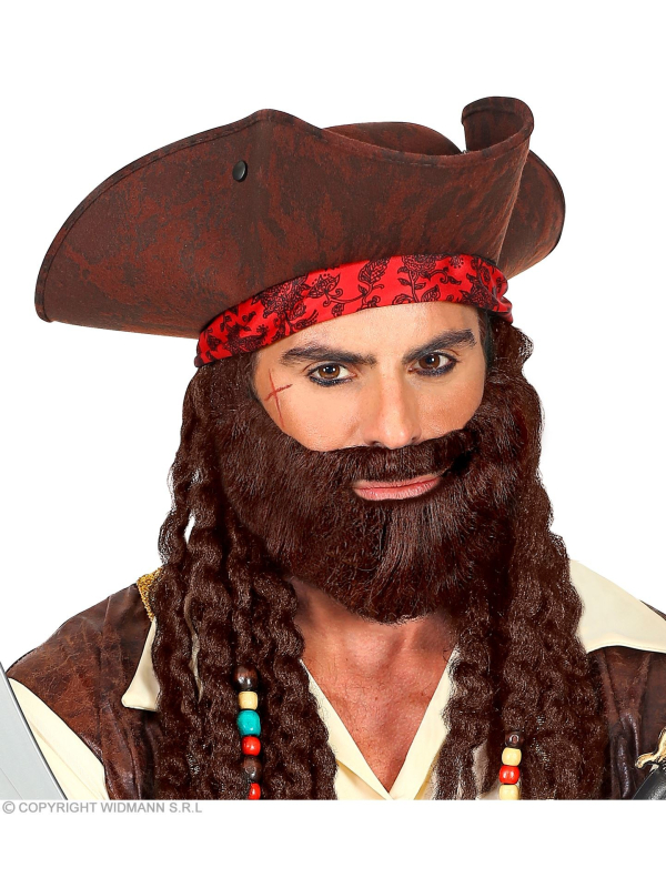 Barbe brune personnage