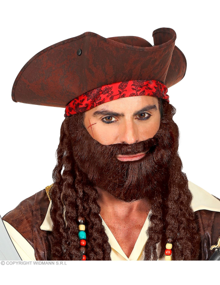 Barbe brune personnage
