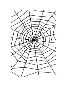 Toile d’araignée géante, noire avec araignée