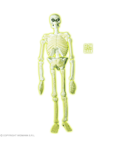 Squelette de Laboratoire Lumineux dans le noir - 1,5 m